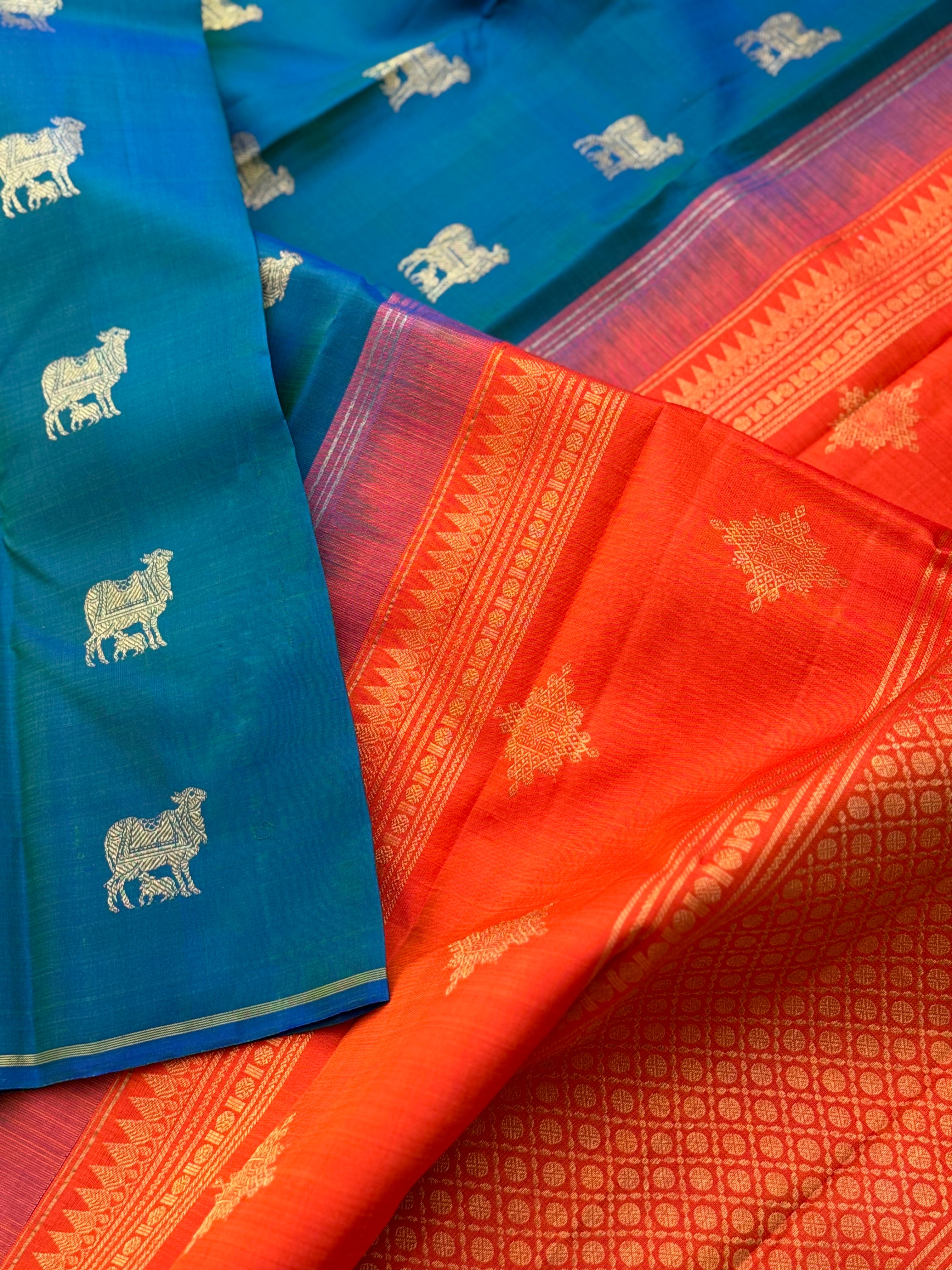 A stunner peacock blue shade with orange borderless kanchivaram silk saree