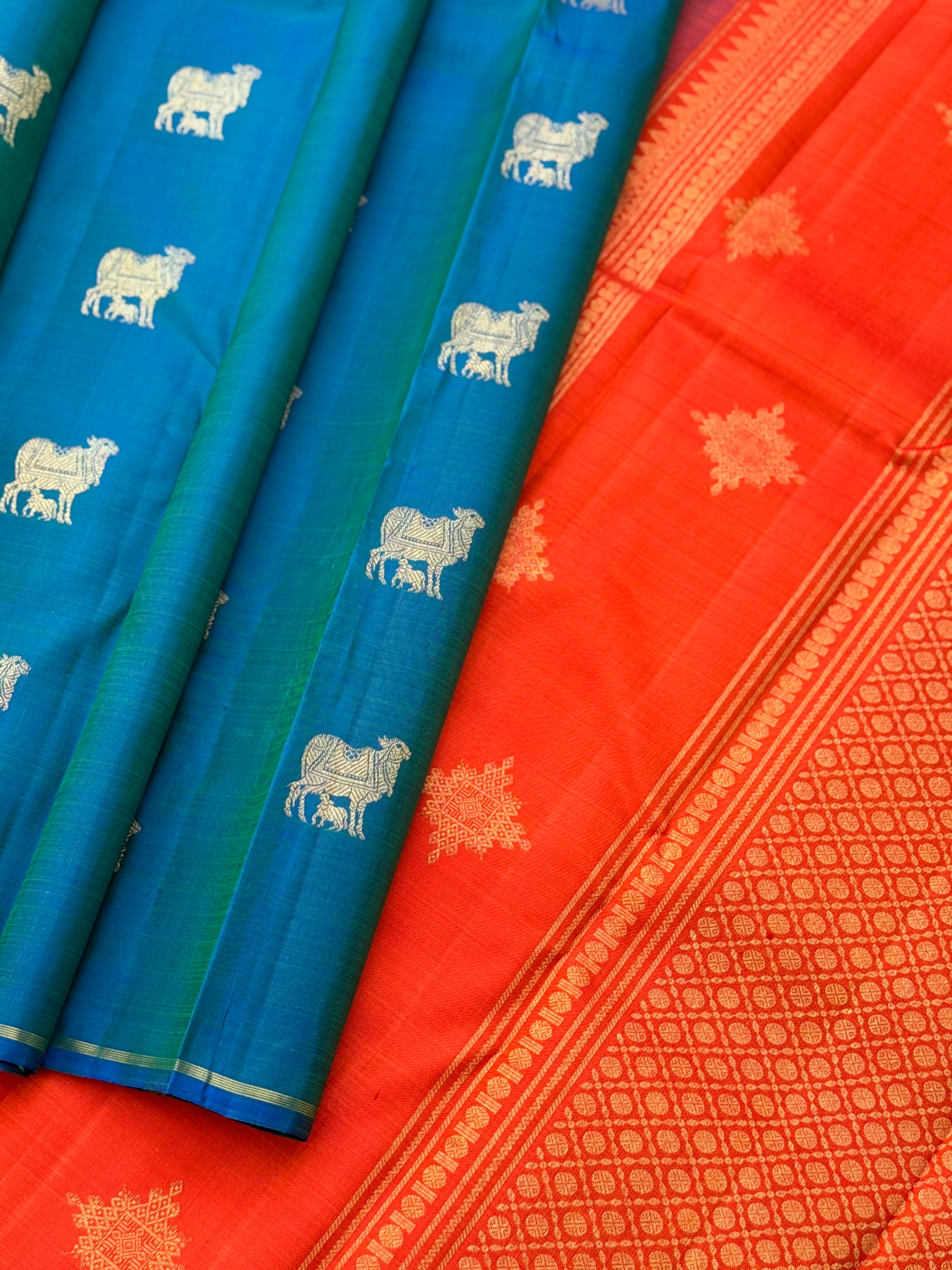 A stunner peacock blue shade with orange borderless kanchivaram silk saree