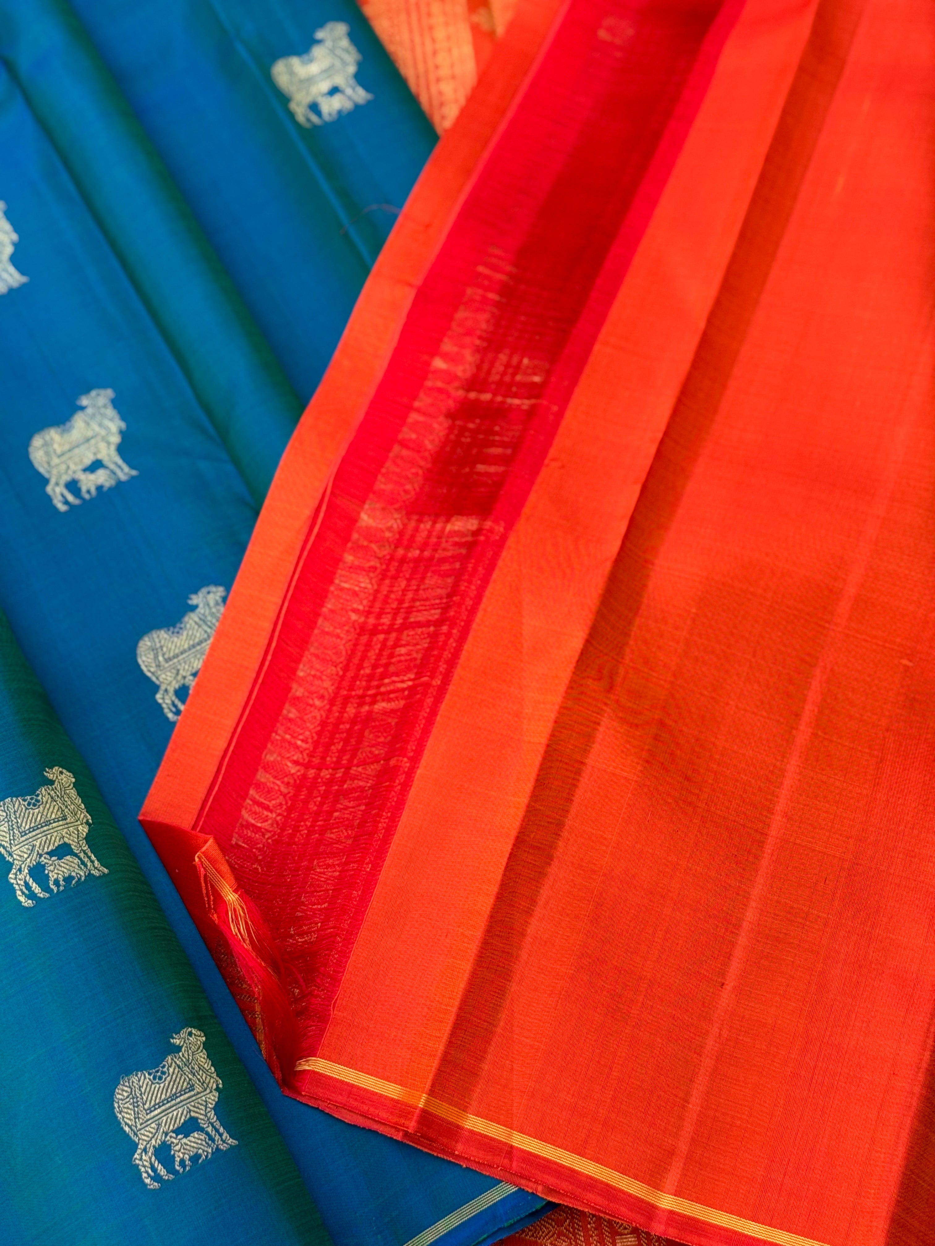 A stunner peacock blue shade with orange borderless kanchivaram silk saree
