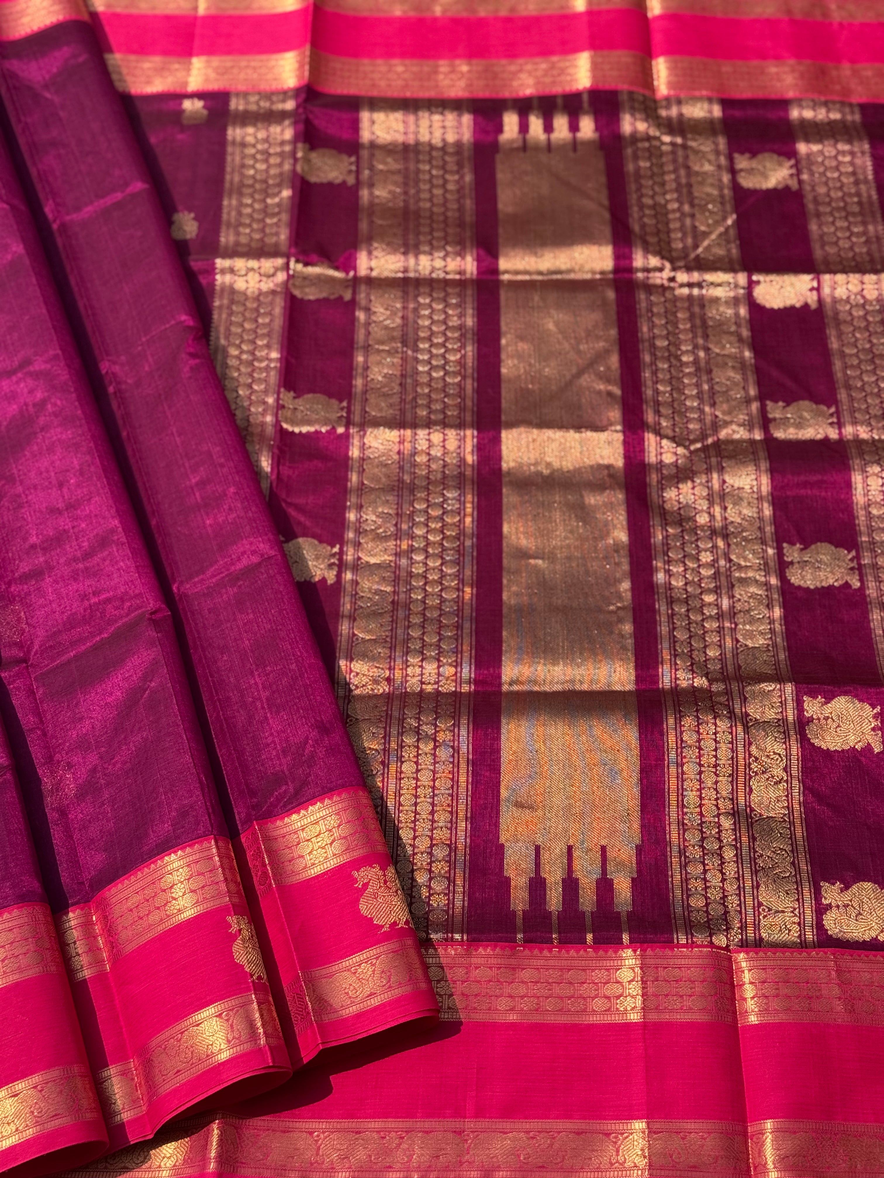 Kanchi Silk Cotton Saree