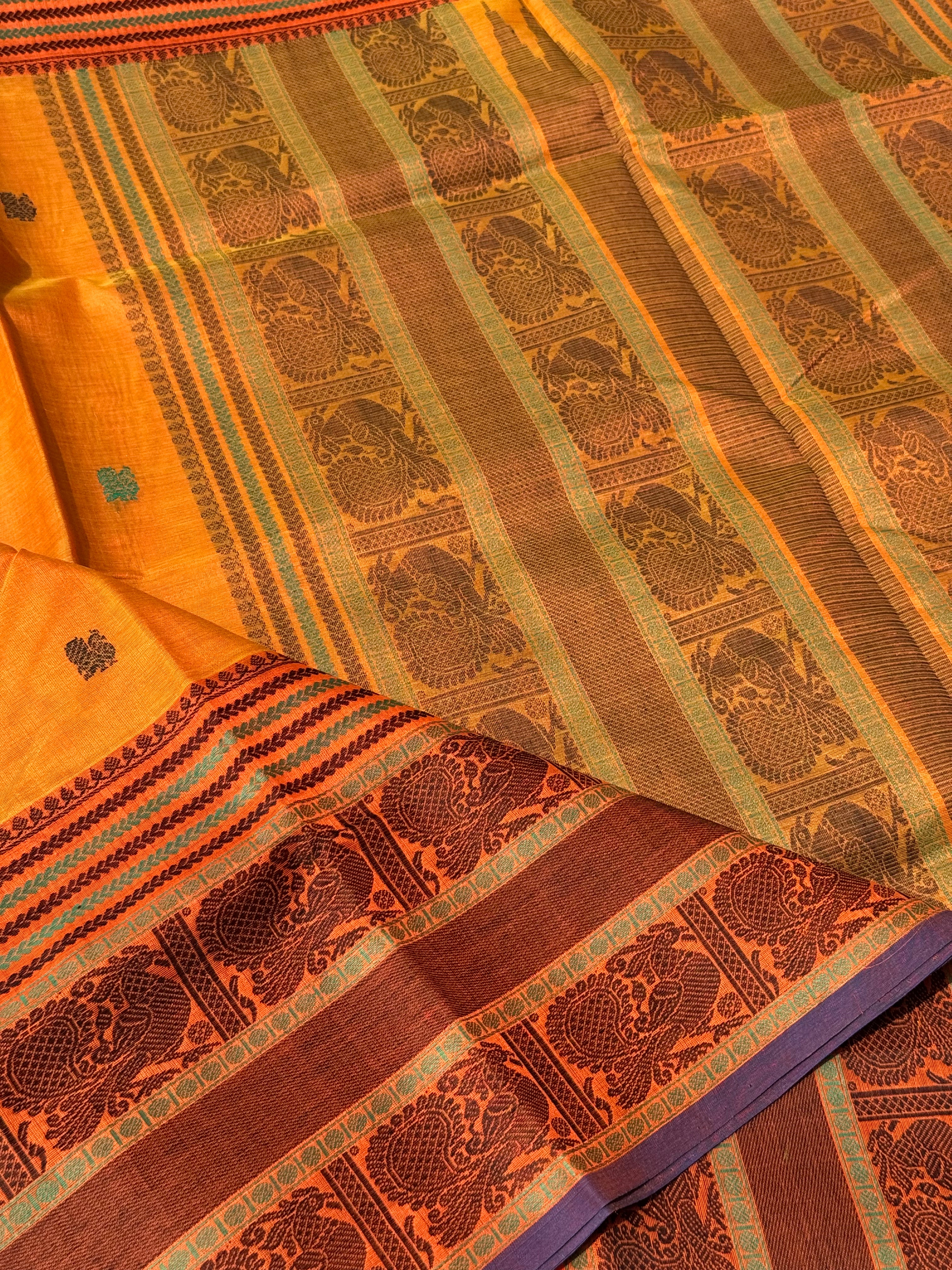 Kanchi Silk Cotton Saree