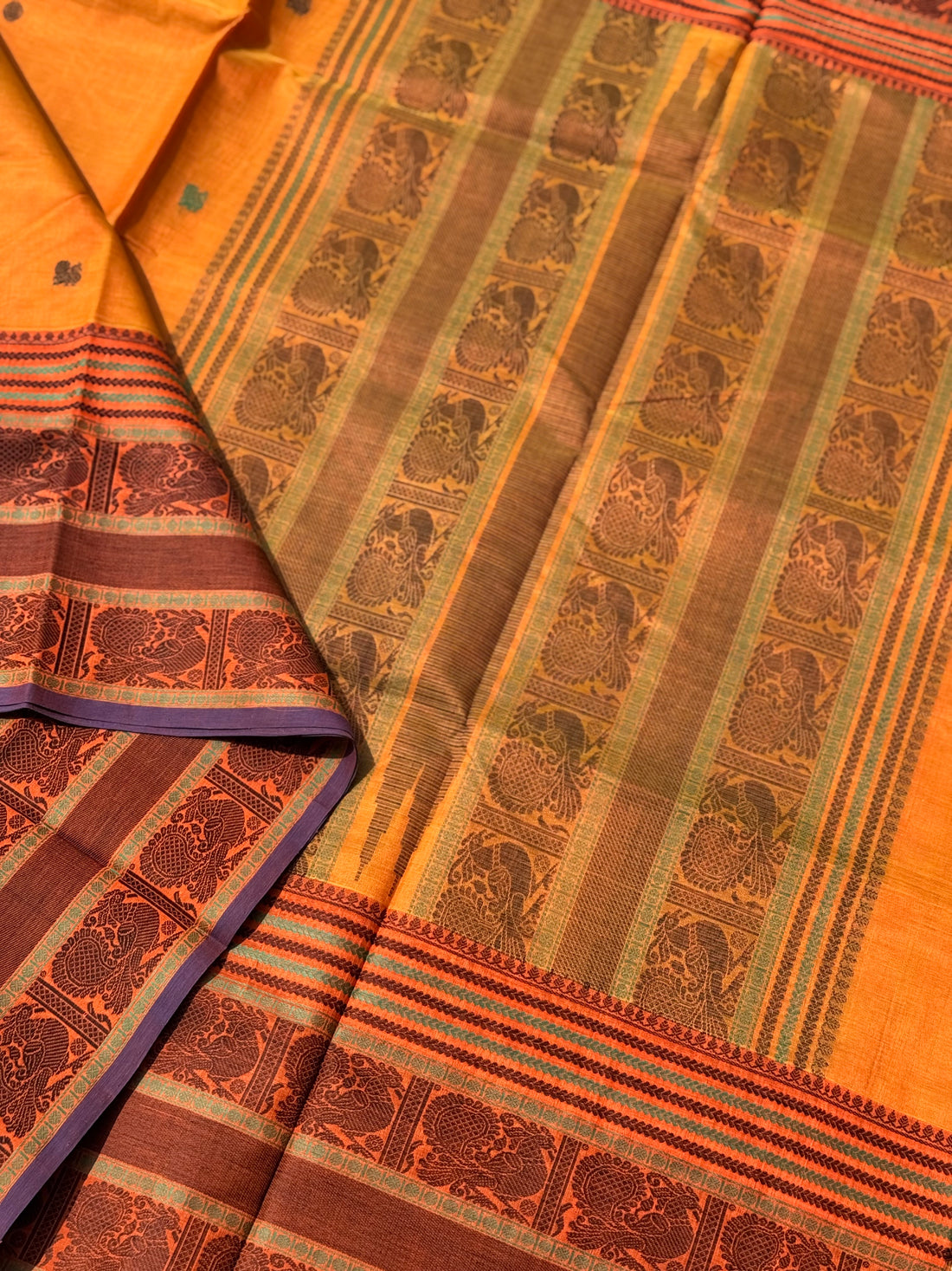 Kanchi Silk Cotton Saree