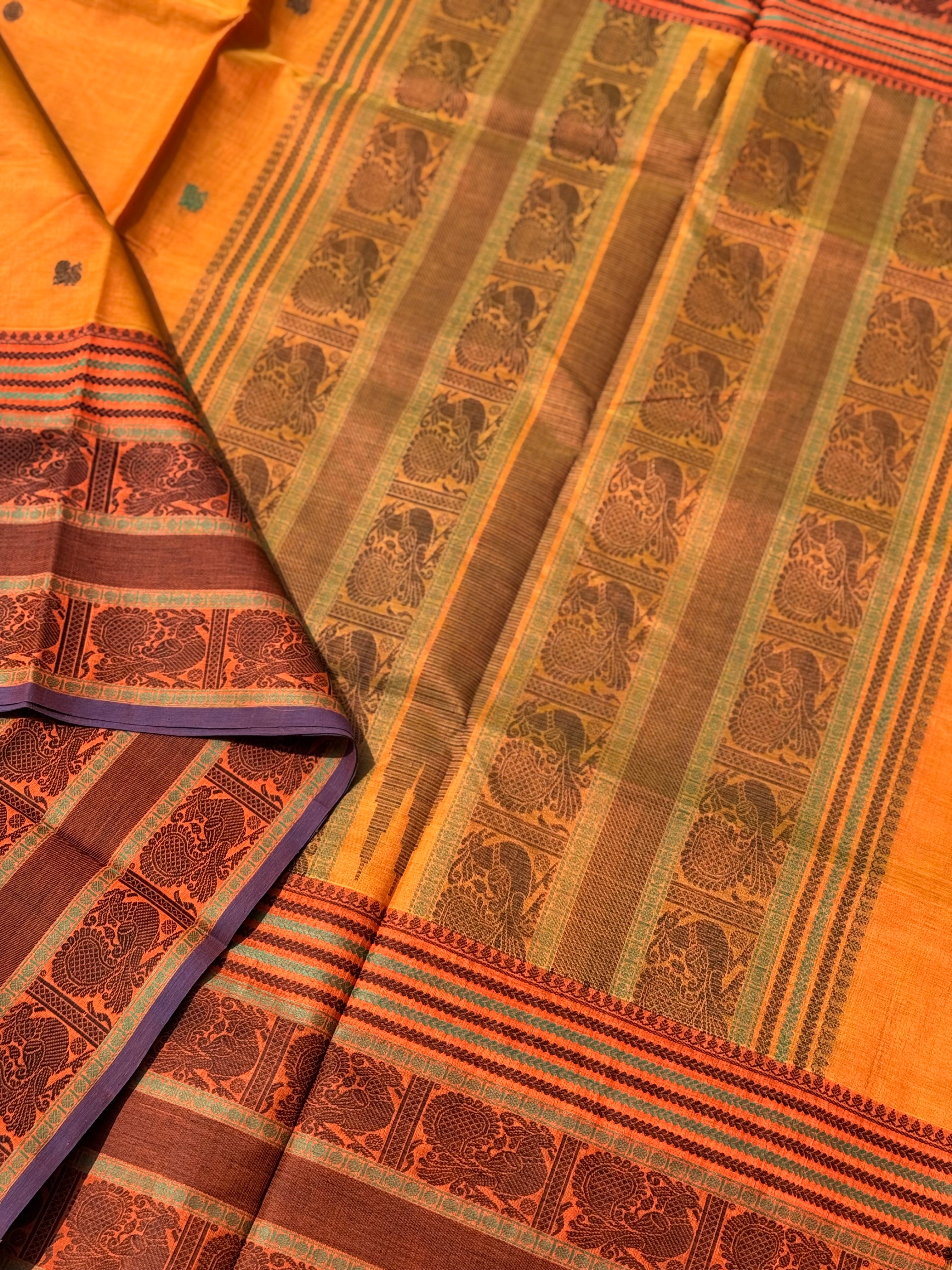 Kanchi Silk Cotton Saree