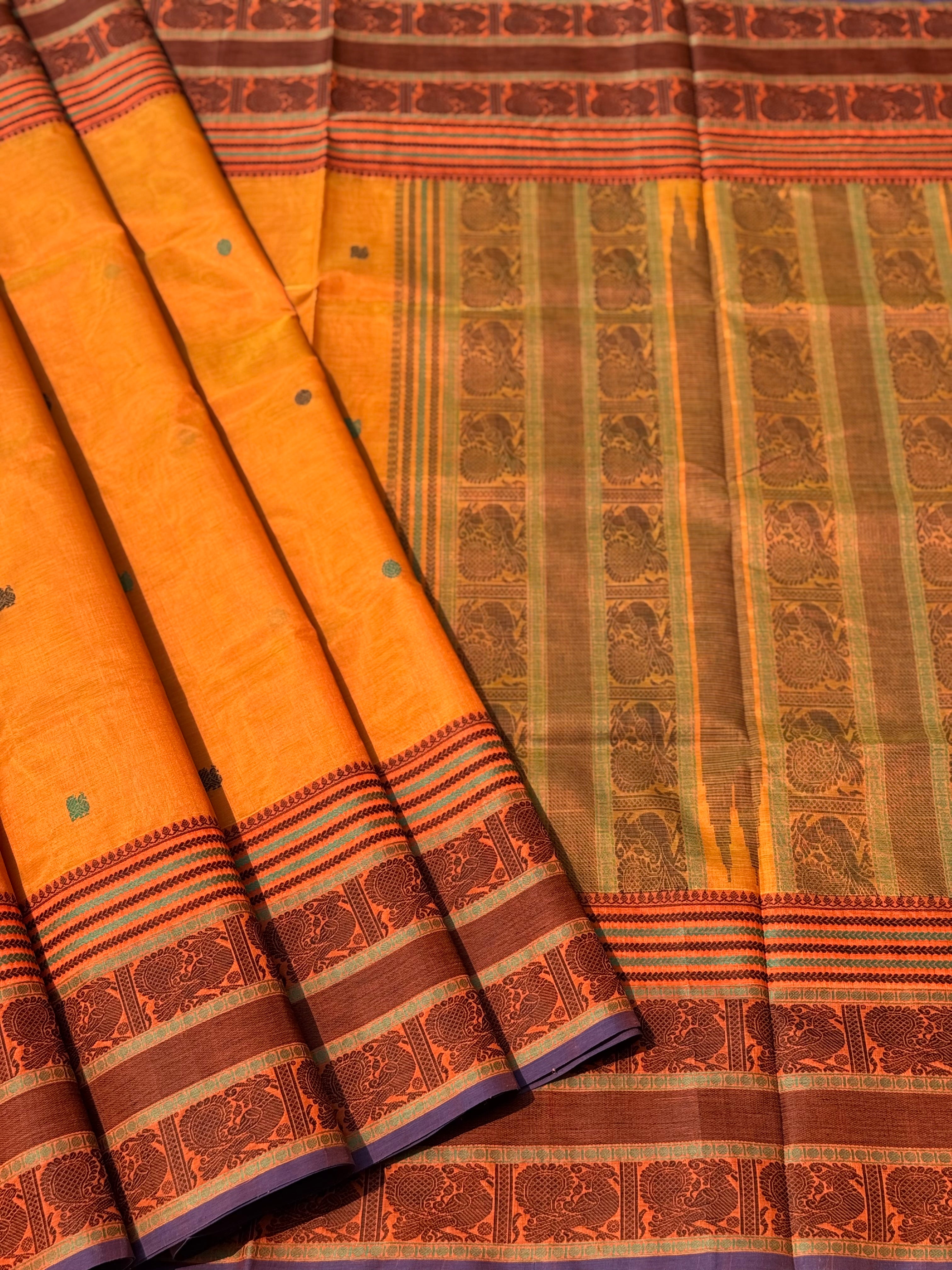 Kanchi Silk Cotton Saree