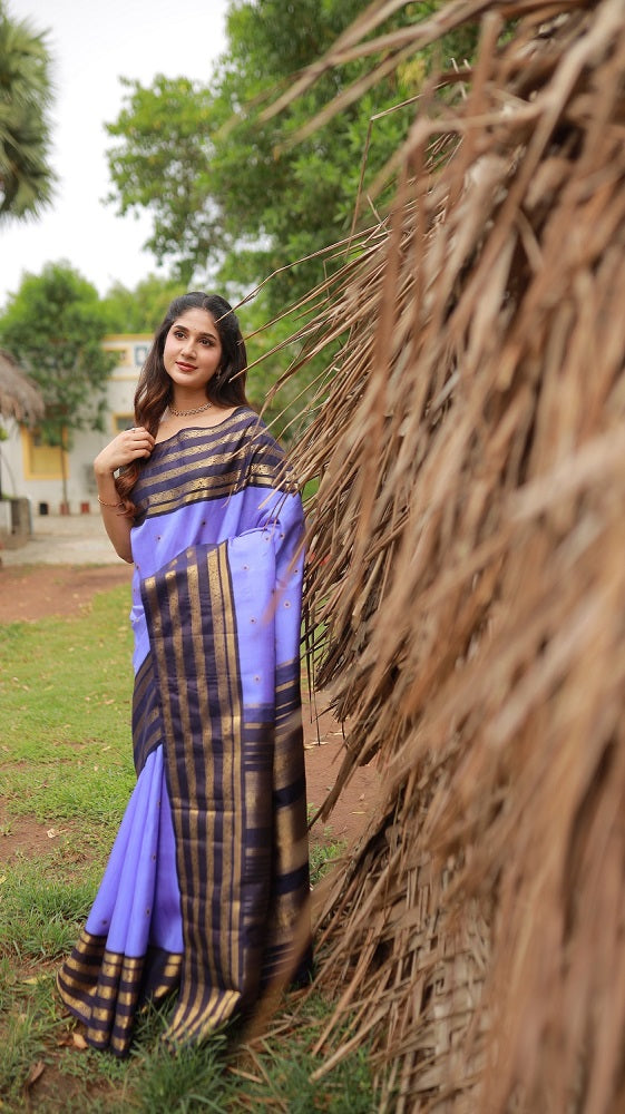 Revival vintage Kanchivaram Silk Saree With meenakari work