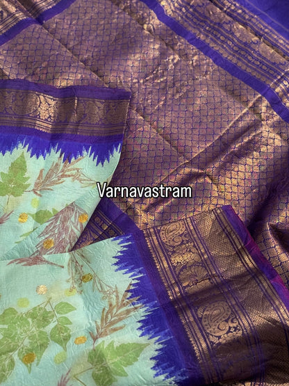 An ice blue with royalblue Natural Handmade Ecoprints Gadwal silk saree