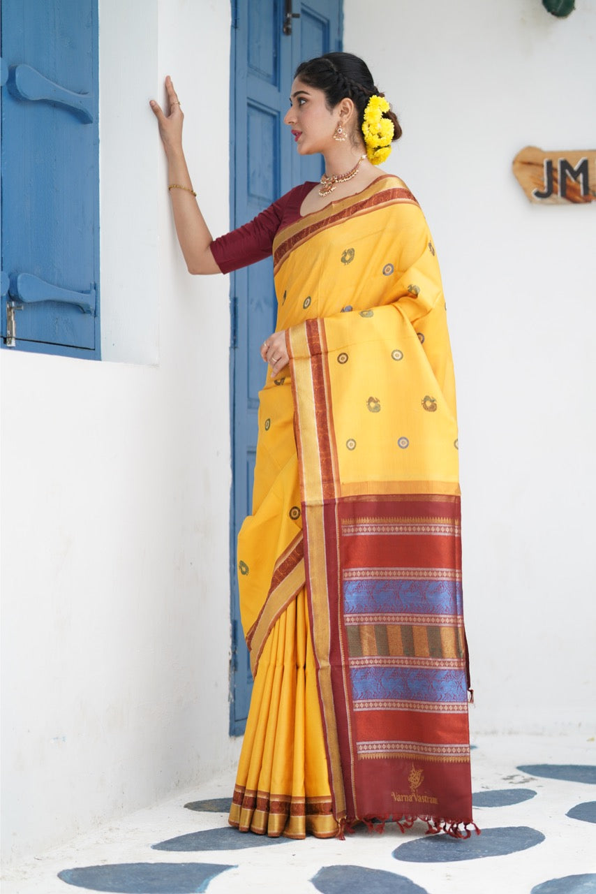 EKANTA - A Complete Natural Dye Kanchivaram Silk saree