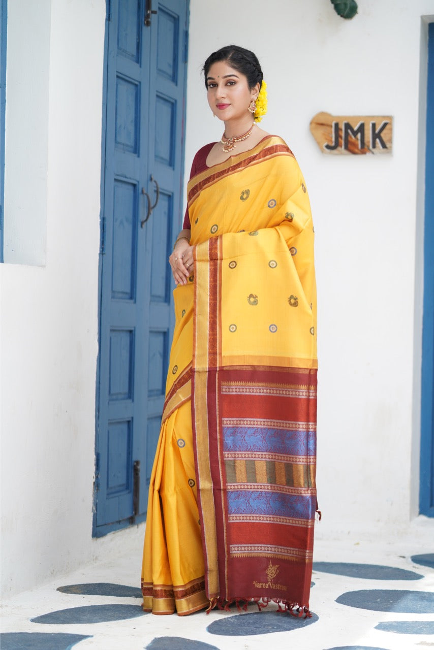 EKANTA - A Complete Natural Dye Kanchivaram Silk saree