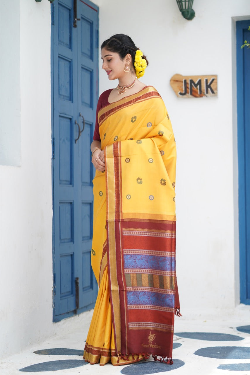 EKANTA - A Complete Natural Dye Kanchivaram Silk saree