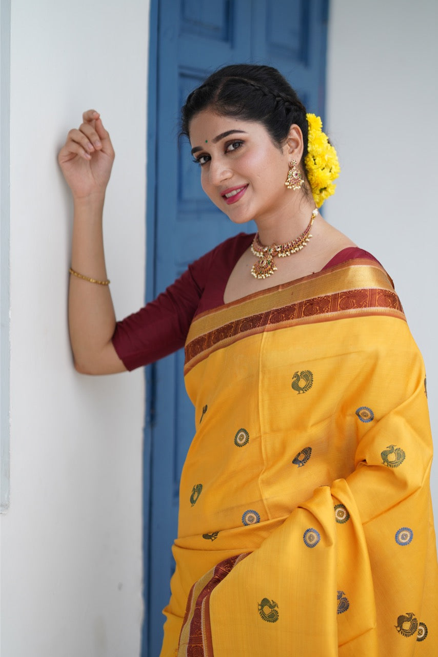 EKANTA - A Complete Natural Dye Kanchivaram Silk saree