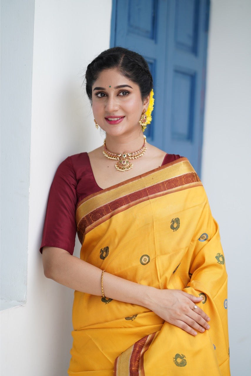 EKANTA - A Complete Natural Dye Kanchivaram Silk saree