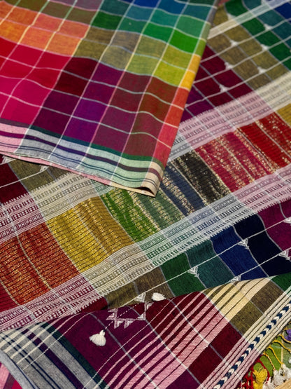 Handwoven Kala cotton bhujodi saree multicoloured