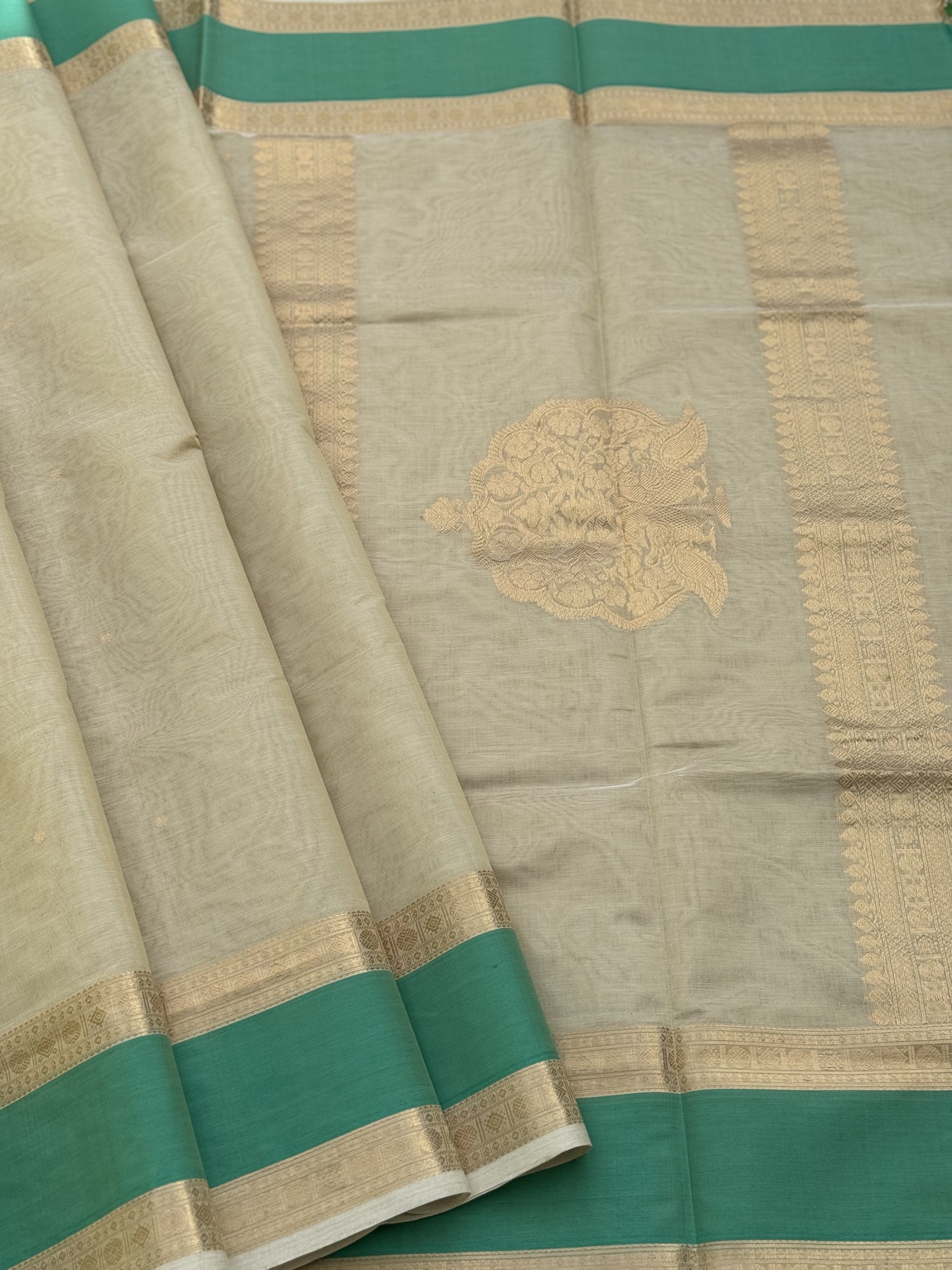 A gorgeous ivory gold shade handwoven Kanchi  silk cotton saree