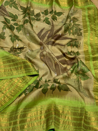 A muted gold with ferngreen Natural Handmade Ecoprints Gadwal silk saree