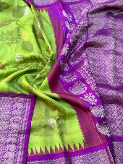 A limegreen with purple Natural Handmade Ecoprints Gadwal silk saree