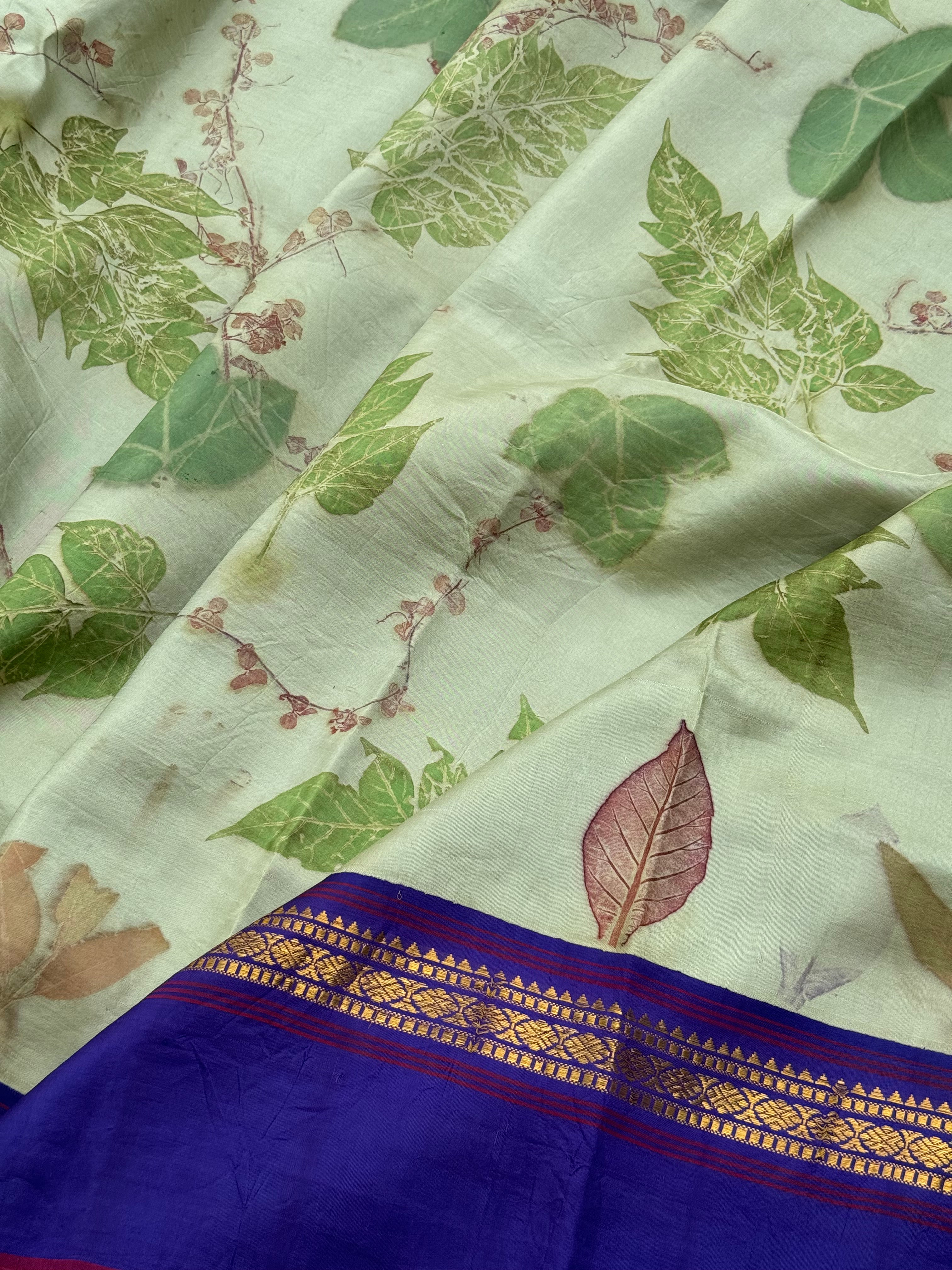 A pistachio green Natural handmade Ecoprints on Korvai Kanchivaram silk saree