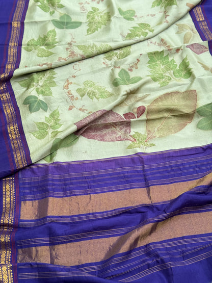 A pistachio green Natural handmade Ecoprints on Korvai Kanchivaram silk saree