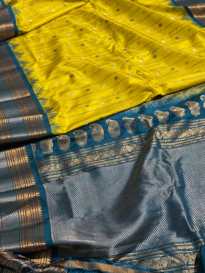 A Stunner Sampanga greenish Yellow Gadwal silk with Kanchi border