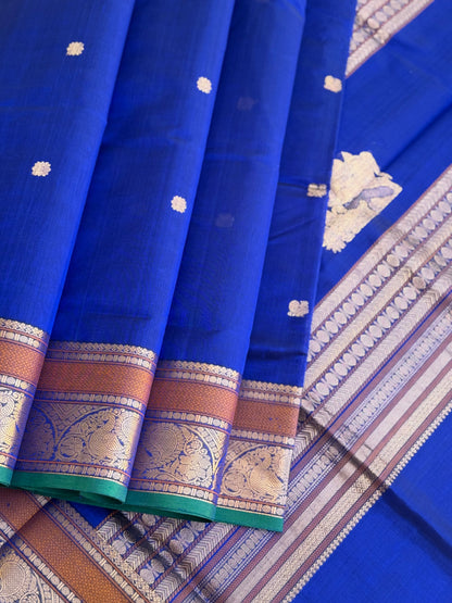 Ms blue Kanchi silk cotton saree with conia buttas
