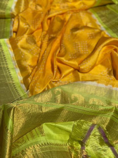 Handknotted Bandhej on Gadwal silk saree