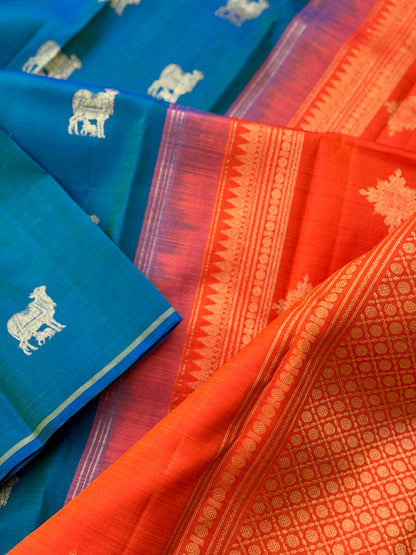 A stunner peacock blue shade with orange borderless kanchivaram silk saree