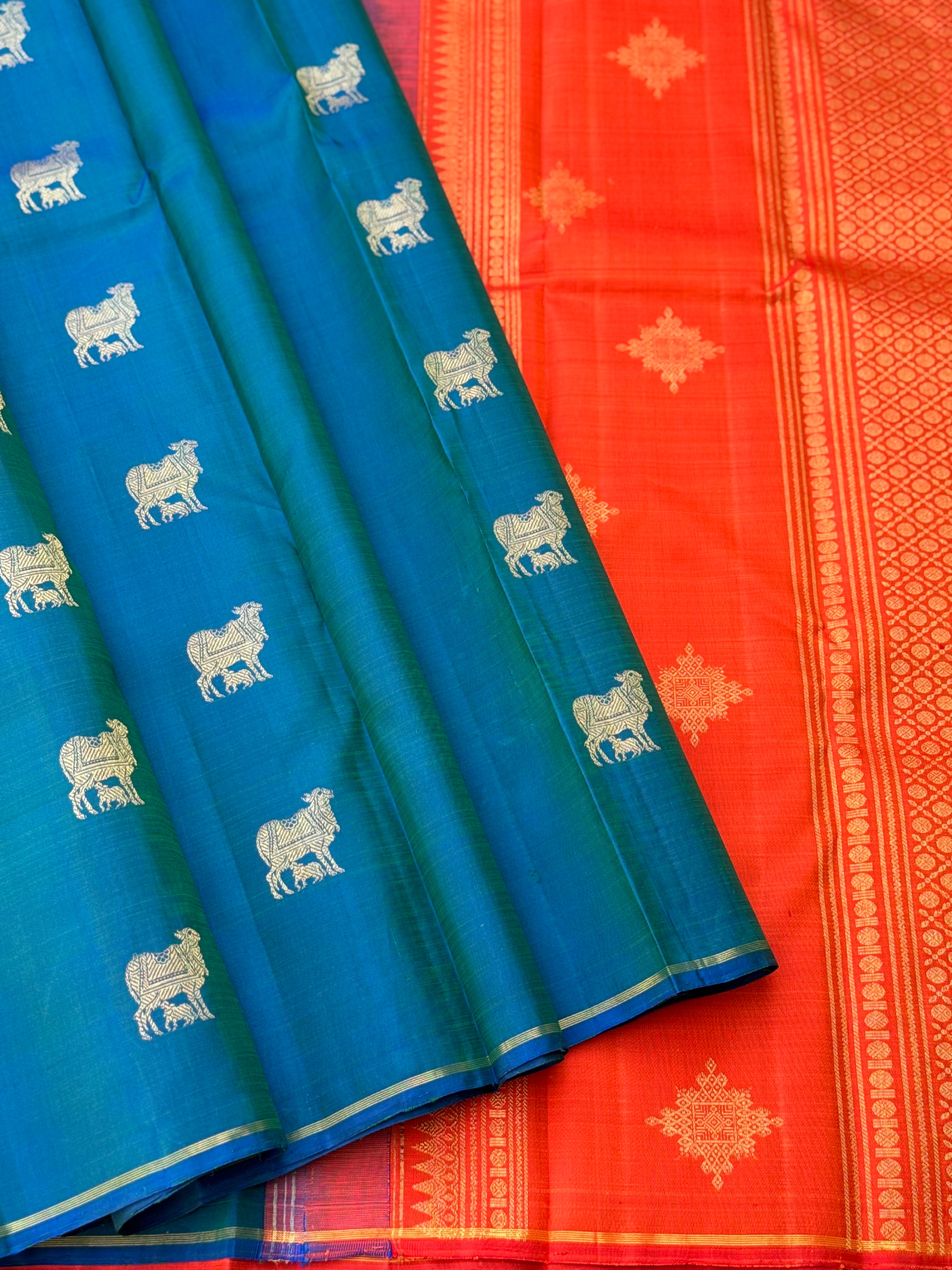 A stunner peacock blue shade with orange borderless kanchivaram silk saree