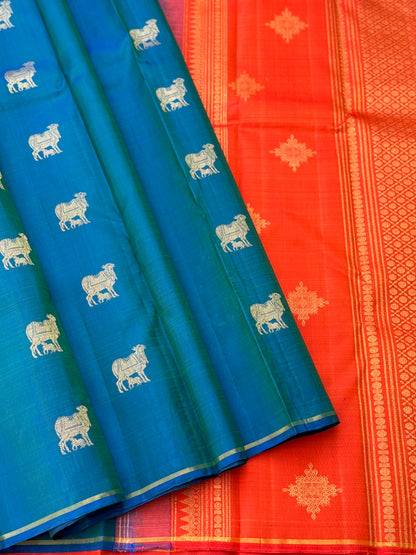 A stunner peacock blue shade with orange borderless kanchivaram silk saree