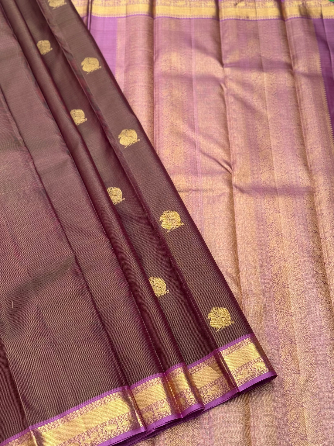 Chocobrown with purple shot vairaoosi kanchivaram silk saree with annam motifs