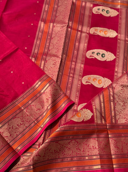 Kanchi Silk Cotton Saree
