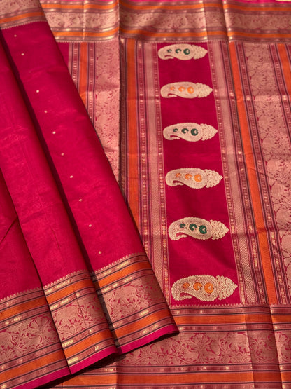 Kanchi Silk Cotton Saree