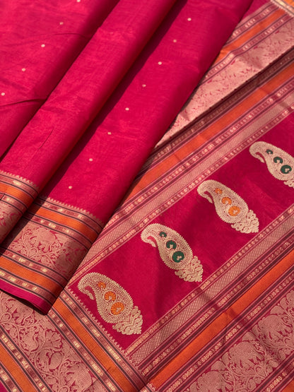 Kanchi Silk Cotton Saree