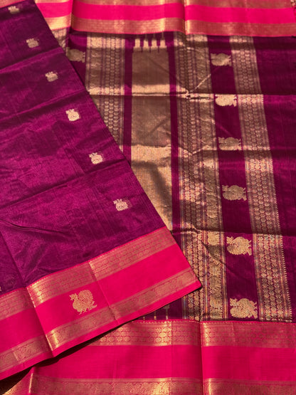 Kanchi Silk Cotton Saree