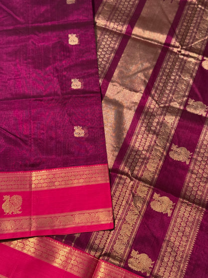 Kanchi Silk Cotton Saree