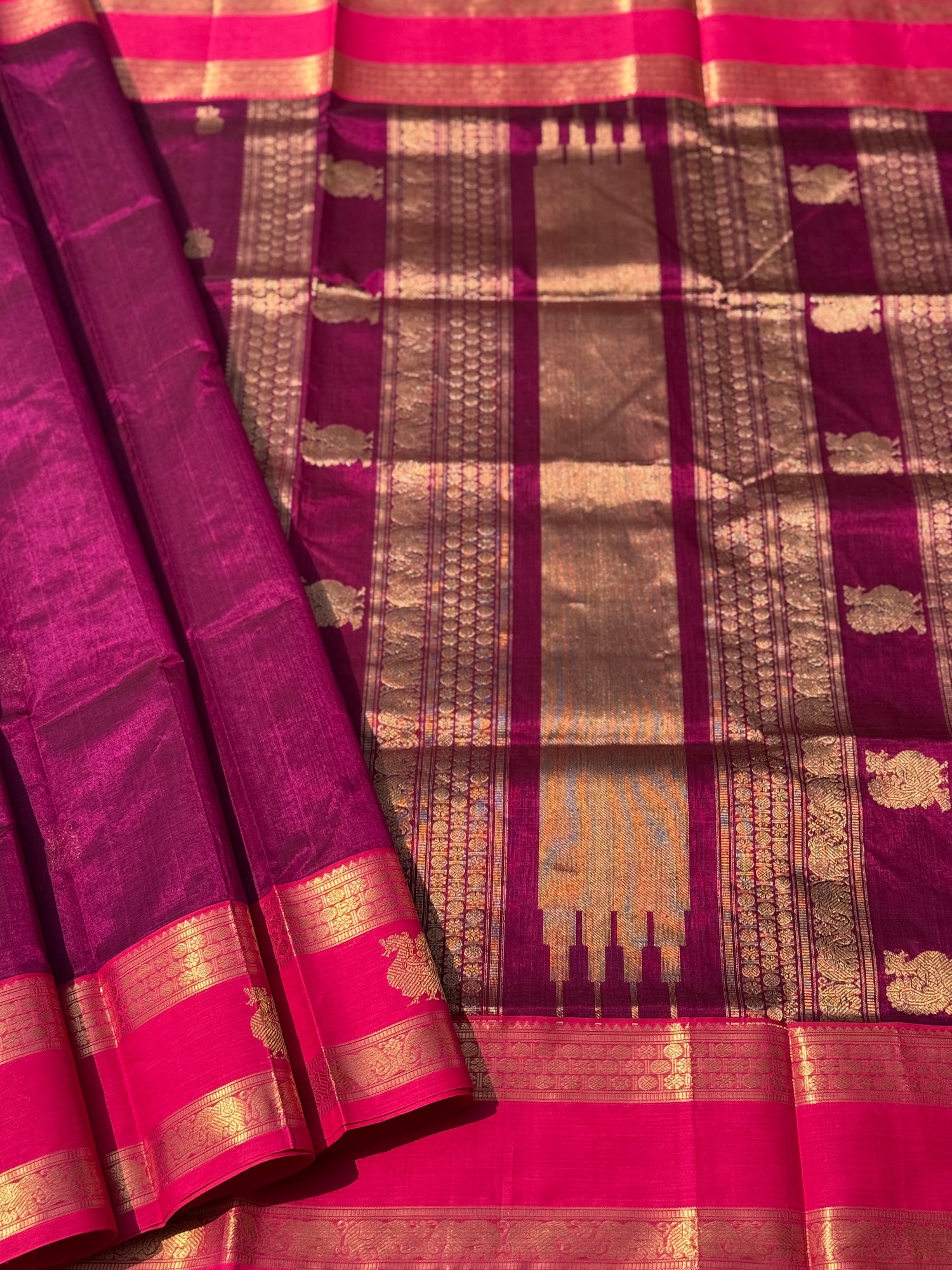 Kanchi Silk Cotton Saree