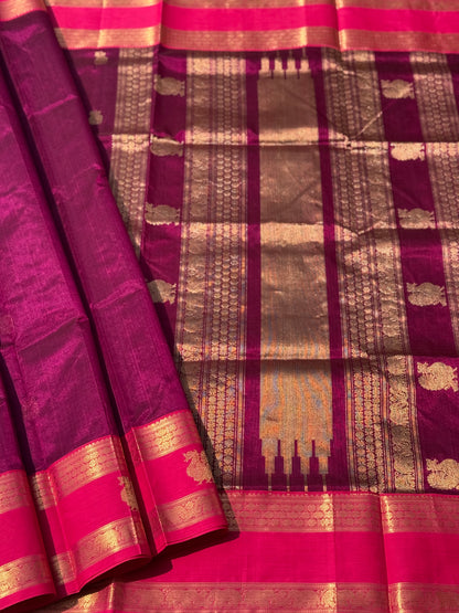 Kanchi Silk Cotton Saree