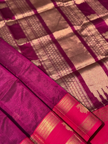 Kanchi Silk Cotton Saree