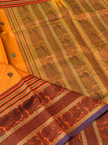 Kanchi Silk Cotton Saree