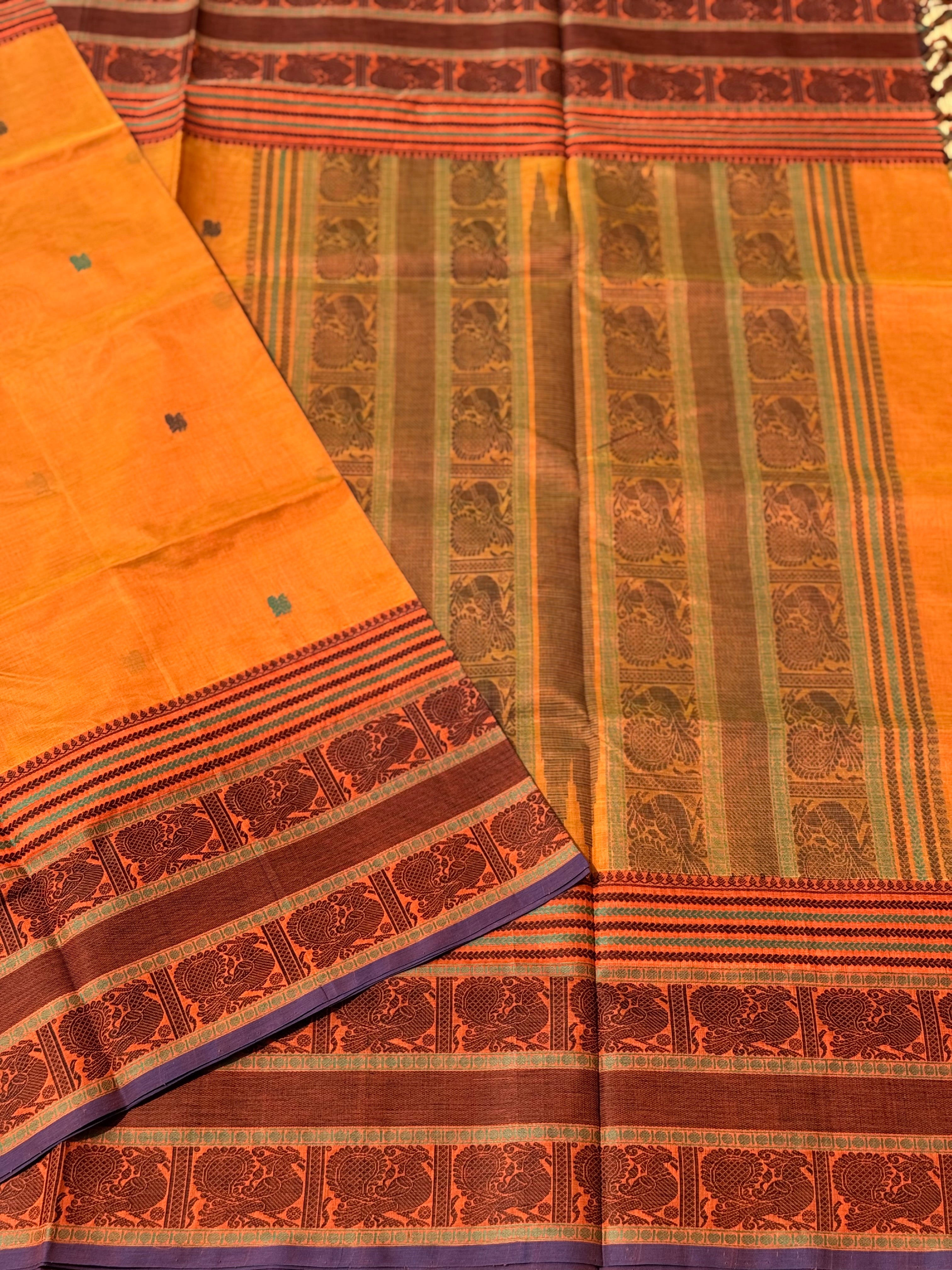 Kanchi Silk Cotton Saree