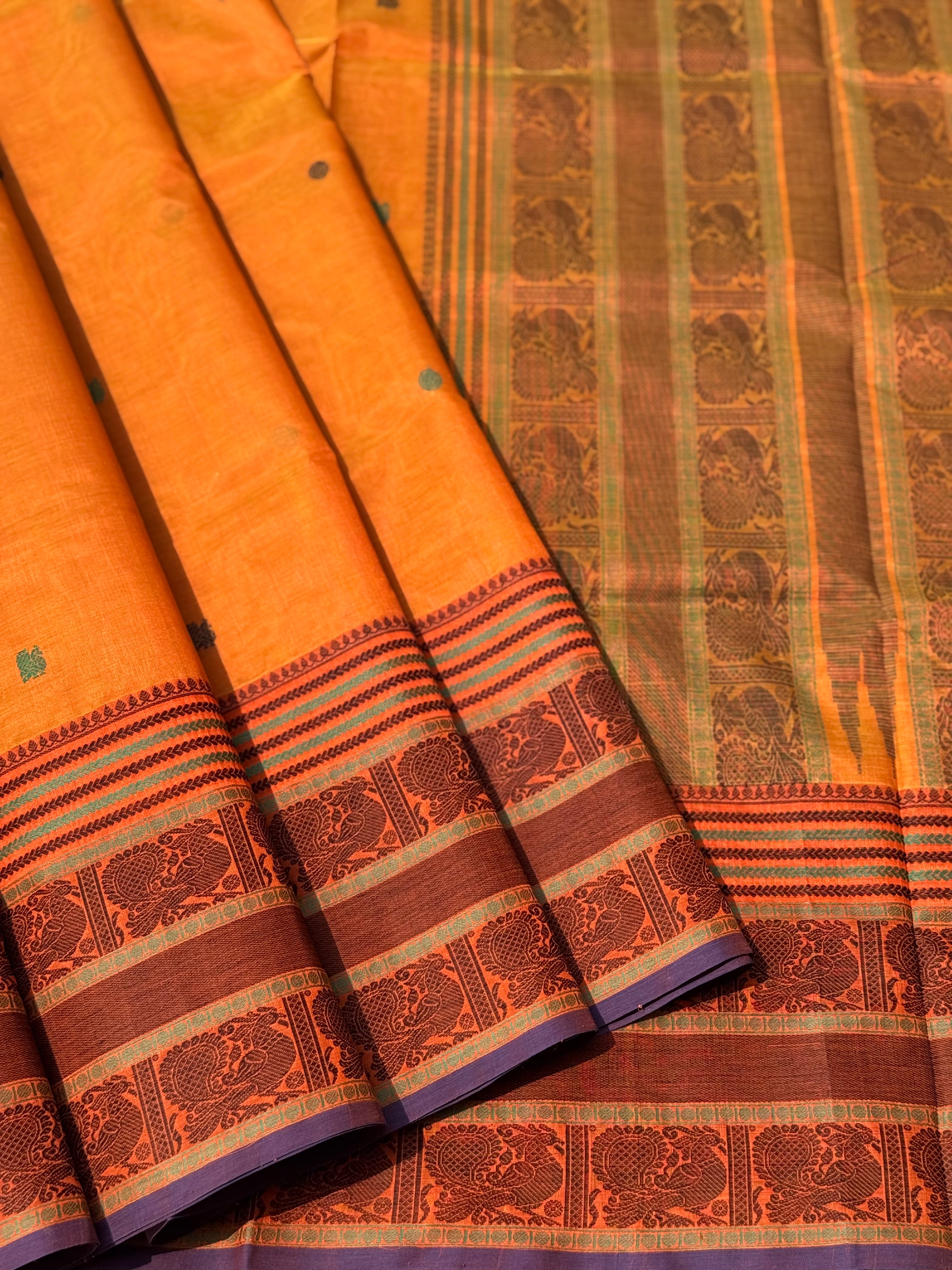 Kanchi Silk Cotton Saree