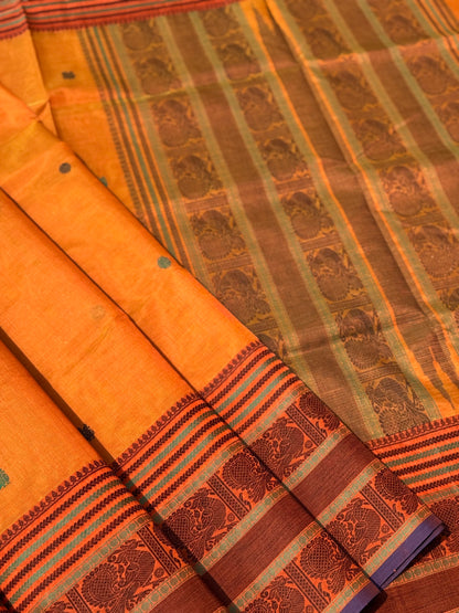 Kanchi Silk Cotton Saree