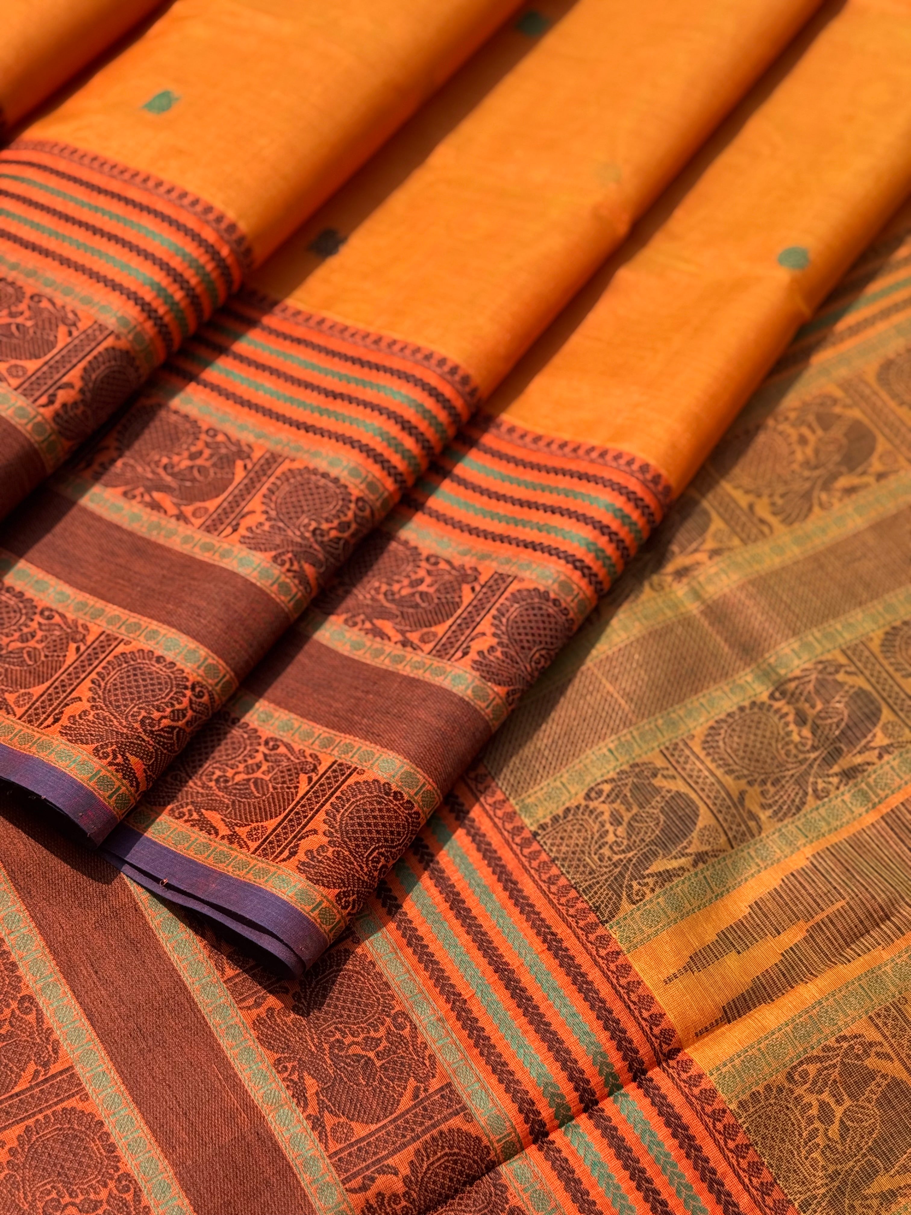 Kanchi Silk Cotton Saree