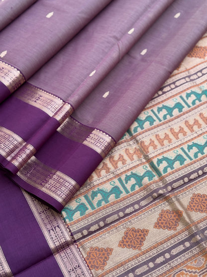 Kanchi Silk Cotton Saree