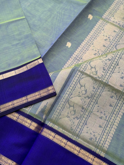 Kanchi Silk Cotton Saree